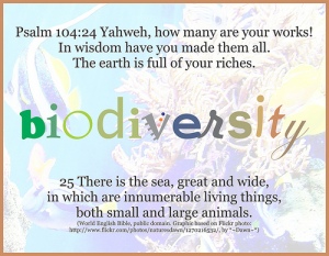 biodiversity Psalm 104: 24-25