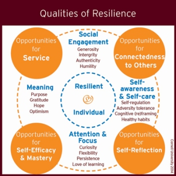 Qualities of Resiliency
